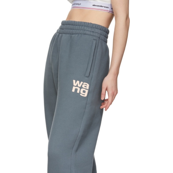 Alexander Wang Pants - Alexander Wang T Puff Logo Crop Sweatpants Structured Terry Size Small Asphalt
